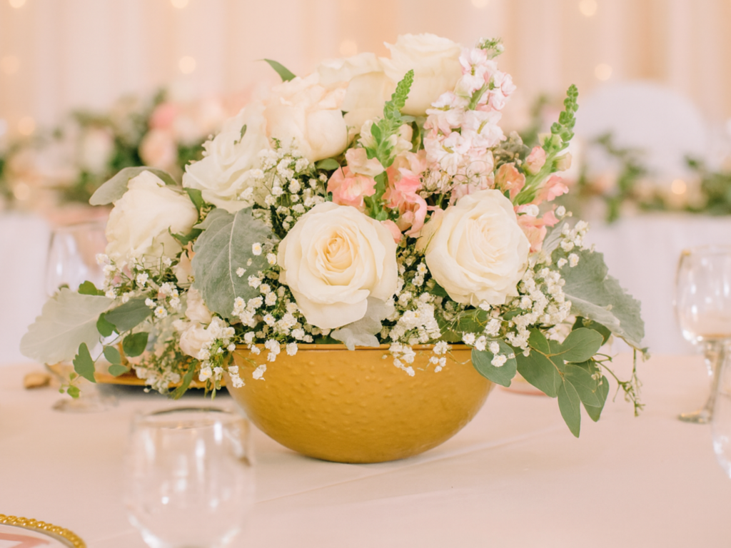 website menübilder (7)